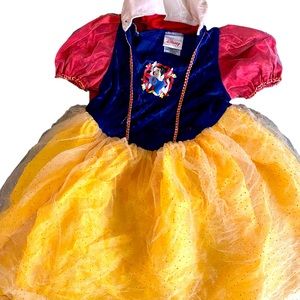 Sleeping Beauty Child age 2-4 Halloween Costume.